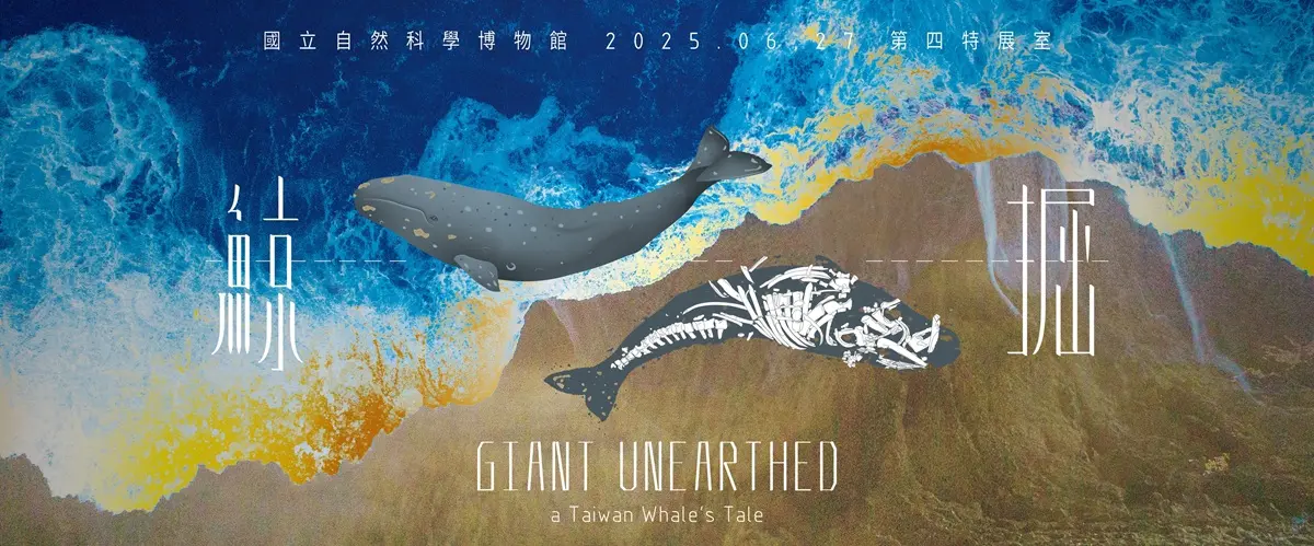 科博館第四特展室 《鯨掘》