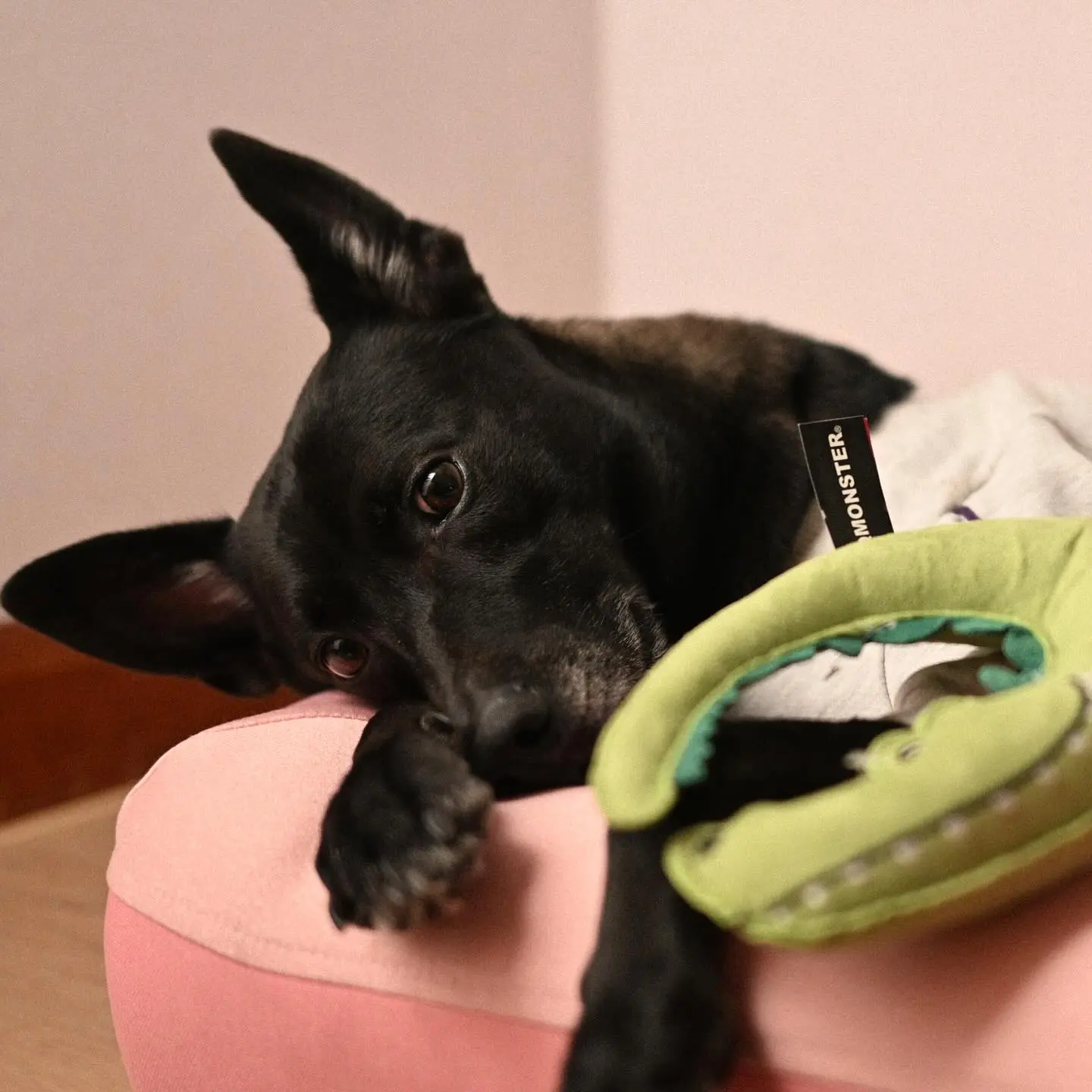 251204 小快 圖文照片 11