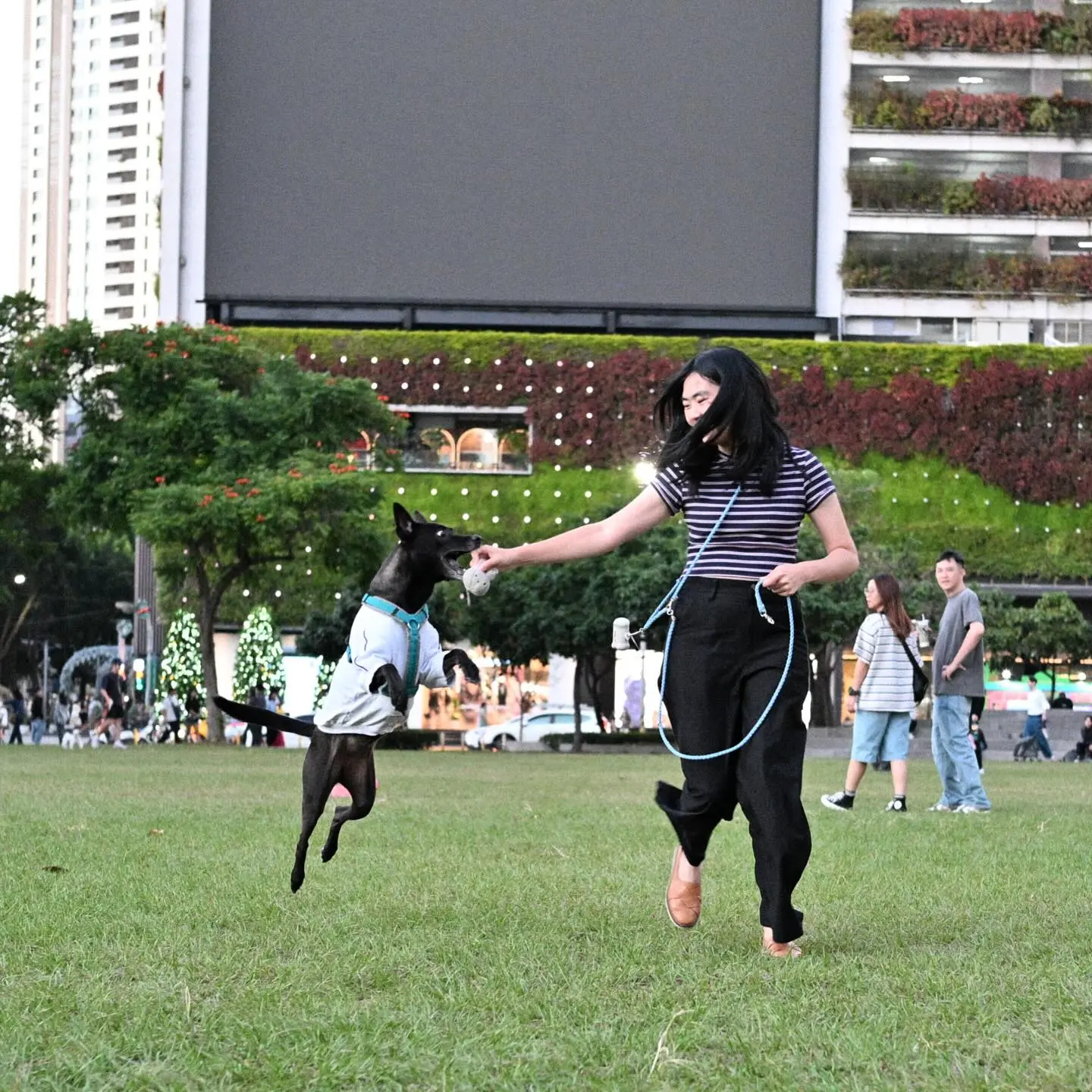 251204 小快 圖文照片 03