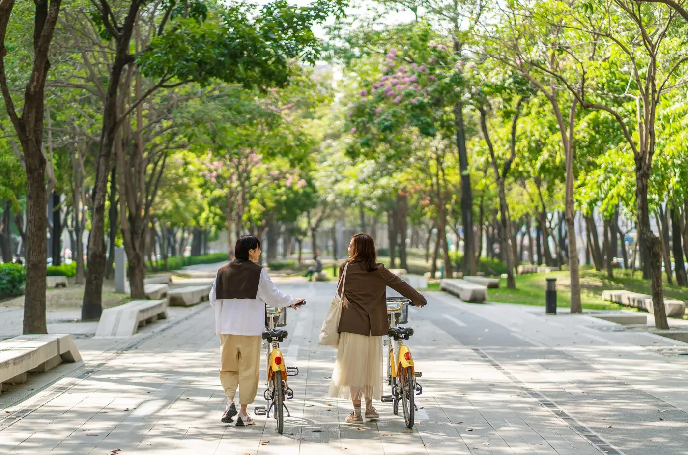 螢幕擷取畫面 2026 01 16 133224